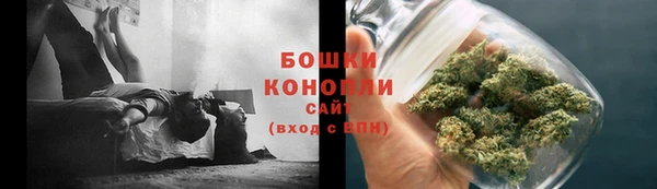 гидра Бронницы