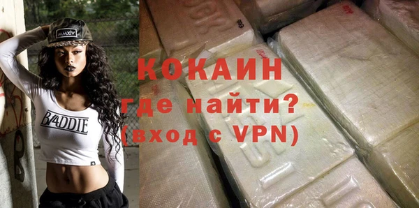 гидра Бронницы