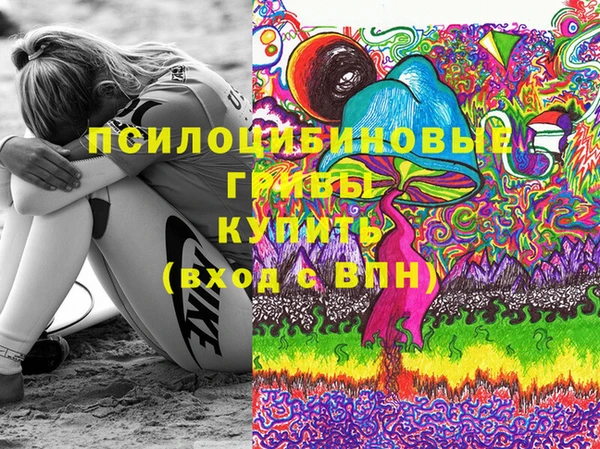 Альфа ПВП Богородицк